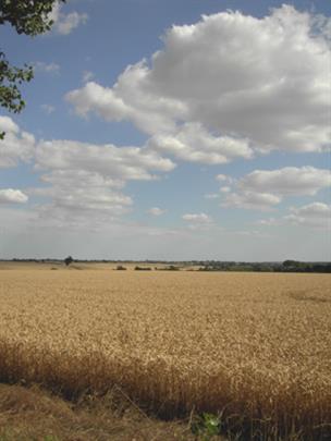 One of the Views from Red House Farm