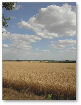 One of the Views from Red House Farm
